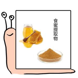 六盘韵  食蜜提取物 可按规格定制生产