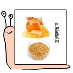白蜜提取物  厂家供应 水溶性