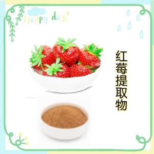 红莓提取物   水溶性好 红莓粉