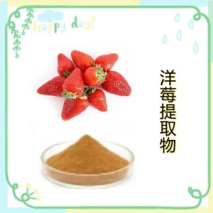 洋莓提取物 10:1 水溶洋莓粉