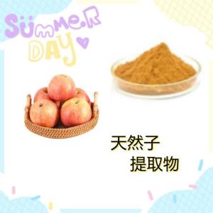 天然子提取物 喷雾干燥水溶性