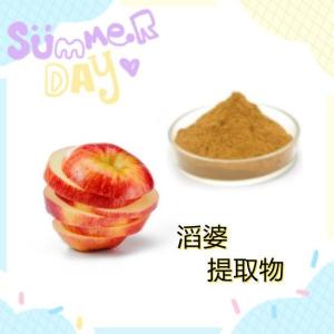 滔婆提取物   溶解性好