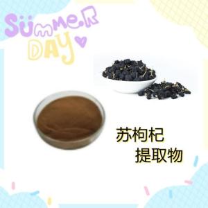 苏枸杞提取物 10:1 20:1 苏枸杞粉