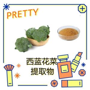 西蓝花菜   提取物10-1