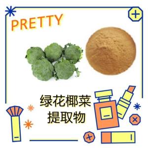 绿花椰菜 提取物 水溶