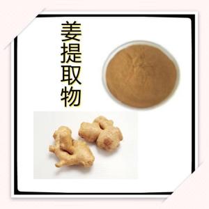 姜提取物     姜粉 10:1多规格