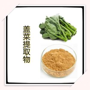 盖菜提取物 比例提取 植物提取厂家