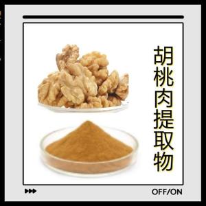 胡桃肉提取物 10：1 胡桃肉粉 水溶性好