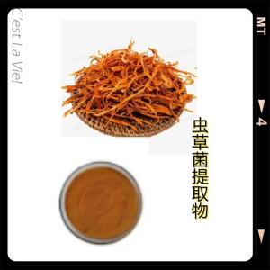 虫草菌提取物 虫草菌粉10:1 虫草菌浓缩粉