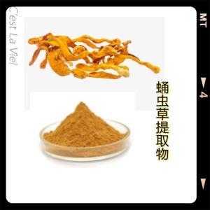 蛹虫草提取物 10：1 蛹虫草多糖 蛹虫草粉