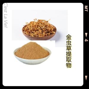 金虫草提取物   金虫草粉 厂家现货供应 全水溶