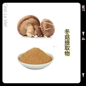 冬菇浓缩浸膏粉 水溶性粉末 喷雾干燥 冬菇提取物