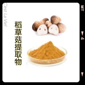 稻草菇提取物10：1 稻草菇提取物 稻草菇粉 水溶性稻草菇提取物