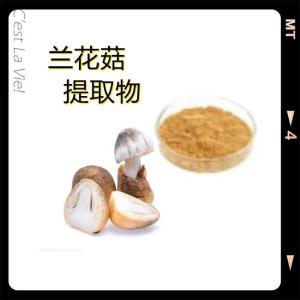 兰花菇提取物 兰花菇粉 兰花菇生粉 兰花菇植物萃取 兰花菇速溶粉