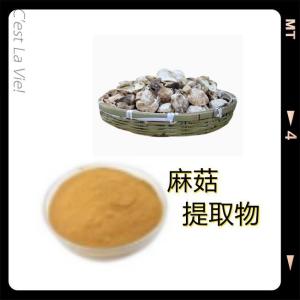 麻菇提取物 10：1 麻菇粉   麻菇提取物