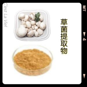 草菌提取物10:1 草菌粉  规格齐全