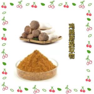 鸡腿蘑提取物   工厂直接发货