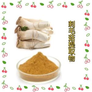 刺毛菇提取物10-1 速溶刺毛菇粉多糖 食品原料
