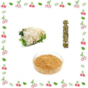 冬菇提取物10:1含冬菇多糖 水溶性粉末 食品饮料原料
