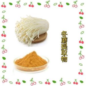 冬蘑提取物 10:1规格 支持拿样