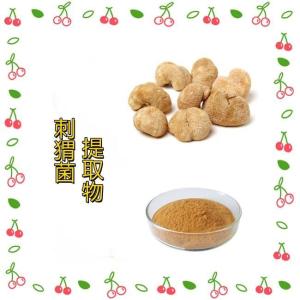 刺猬菌提取物 刺猬菌多糖     水溶性粉末 喷雾浸膏粉