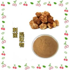 刺菌提取物10:1 厂家发货