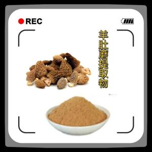 羊肚蘑提取物10:1速溶羊肚蘑浓缩粉 羊肚菜提取物 食品级原料