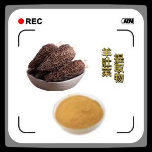 羊肚菜提取物10-1羊肚菜多糖 食品原料 资质齐全