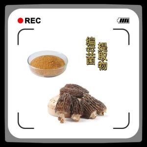 编笠菌提取物 编笠菌多糖   编笠菌浸膏  高比例萃取