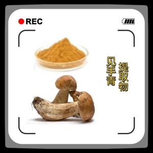 见手青提取物 见手青多糖 见手青浸膏