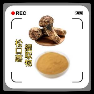 松口蘑提取物 速溶松口蘑粉  食品原料 资质齐全