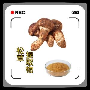 松蕈提取物 松蕈粉