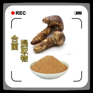 合菌提取物 合菌粉 合菌提取液