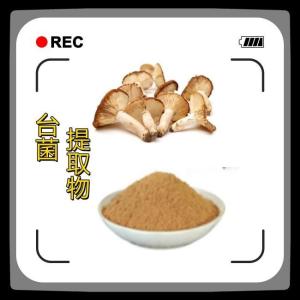 台菌提取物   量大从优