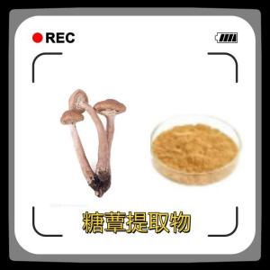 糖蕈提取物 糖蕈粉