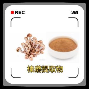 榛蘑提取物 食品保健品原料