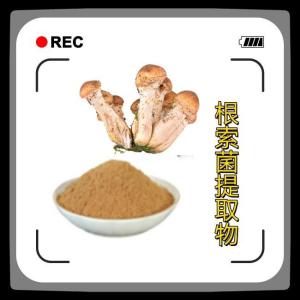 根索菌提取物 10-1 量大从优