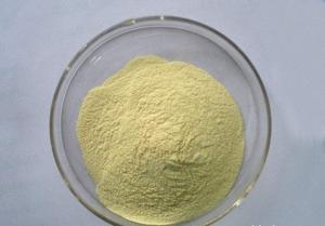 盐酸氨溴索23828-92-4