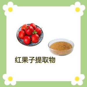 红果子提取物10:1
