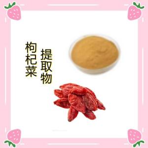 枸杞菜提取物10:1速溶枸杞菜浓缩粉