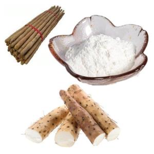 山药提取物 斯诺特可定制多规格比例浓缩 多糖薯蓣皂甙