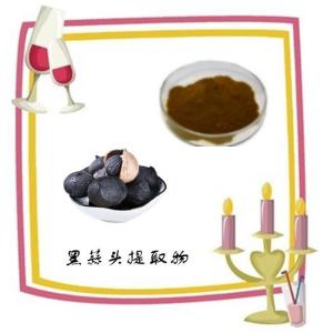 黑蒜头提取物10:1  天然植物提取