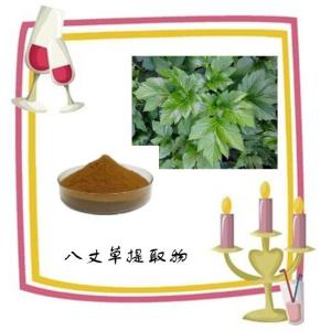 八丈草提取物  浓缩粉 厂家现货批发
