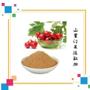 水溶山里红果提取物 浓缩萃取 喷雾干燥粉