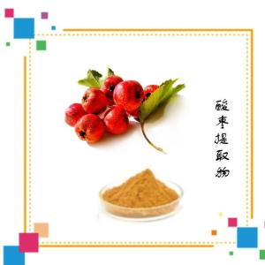 酸枣提取物 各种规格可定制