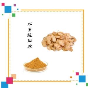 水玉提取物 植物提取物 10:1 精选原料