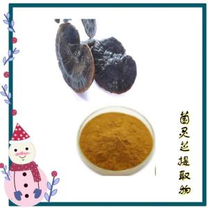 菌灵芝提取物 10:1规格