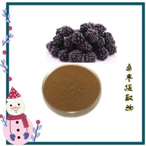 桑枣提取物 水溶桑枣粉