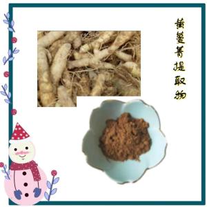 黄蔓菁提取物   固体饮料 食品级 粉末细腻