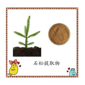 石松提取物  厂家供应 水溶性石松粉